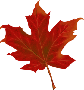 maple leaf canada